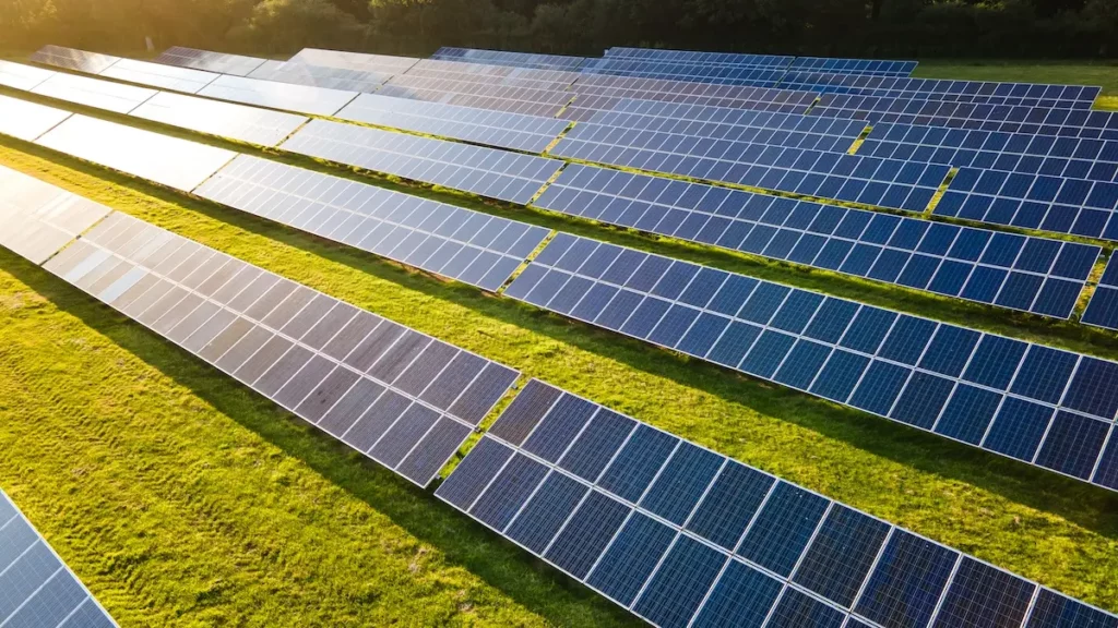 Rows of solar panels installed on a grassy field, capturing sunlight to generate renewable energy, as thermal sand experts NSW optimize efficiency, with sunlit trees in the background.